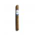 Charatan Original Churchill Cigar - 1 Single